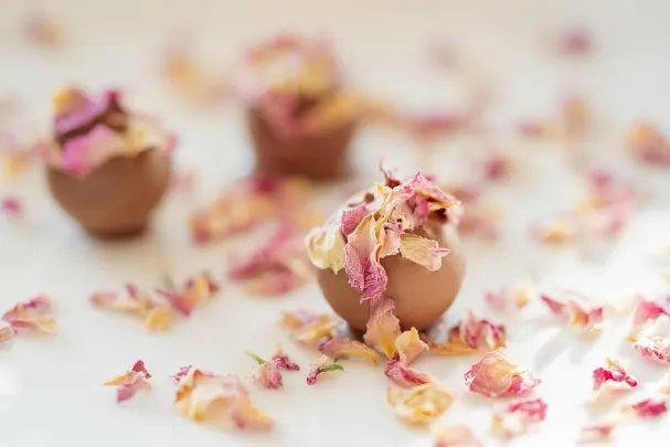 Cazino Paradise Win Cazinou Aplicație Android/iOS